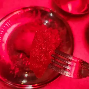 생활맥주 사진