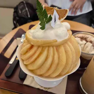 포레스트 사진 1