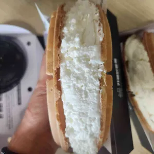 카페인중독 사진