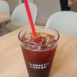매머드익스프레스 대표 사진