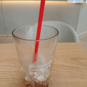 매머드익스프레스 사진