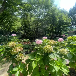 로카커피 리뷰 사진