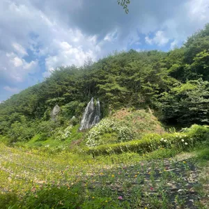 로카커피 리뷰 사진