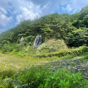 로카커피 리뷰 사진