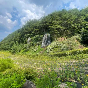 로카커피 리뷰 사진