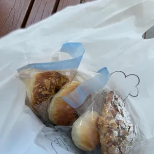 욥 사진