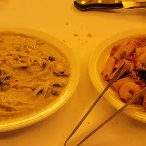 놉스 사진