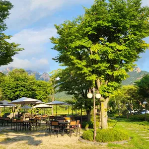 파노라마 베이커리 카페 리뷰 사진