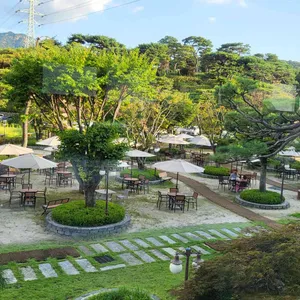 파노라마 베이커리 카페 리뷰 사진