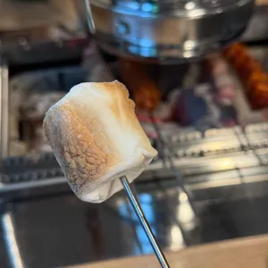 양본가 대표 사진