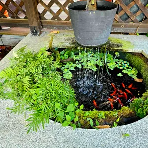 진도횟집 바다향 리뷰 사진