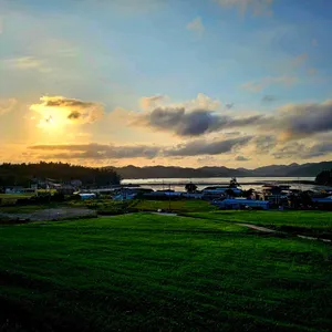 진도횟집 바다향 리뷰 사진