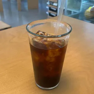 노던라이츠 대표 사진