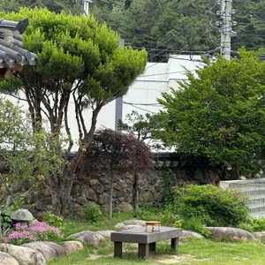 하녹 대표 사진