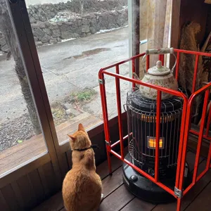 평균이하 리뷰 사진