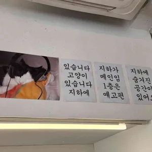 브리릭 리뷰 사진