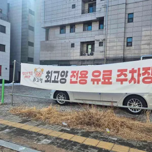 최고양 리뷰 사진