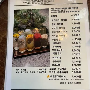 볼하이 리뷰 사진
