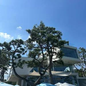 웨이브온커피 사진 1