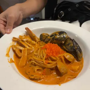 까사 사진