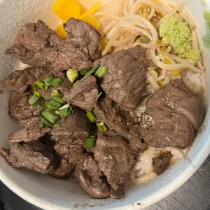 홍대개미 사진