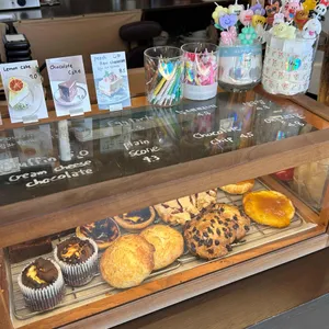 팔레센트 사진
