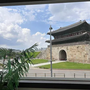 팔레센트 리뷰 사진