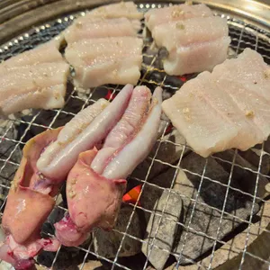 두꺼비산꼼장어 자연산바다장어 사진 1