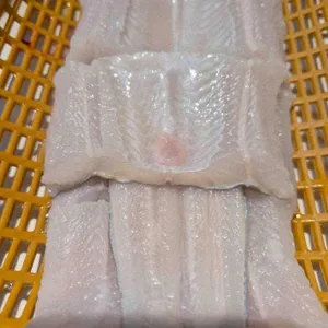 두꺼비산꼼장어 자연산바다장어 리뷰 사진