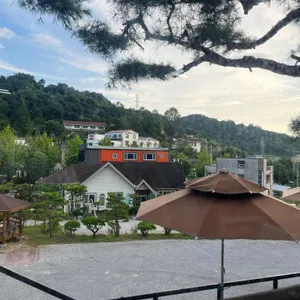 팔도강산 리뷰 사진