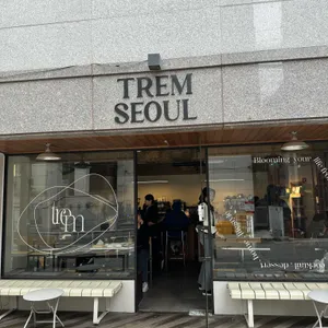 트램 서울 사진 2