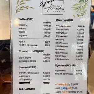 아리베데르치 리뷰 사진