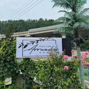 아리베데르치 사진 2