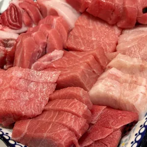 참치열전 사진