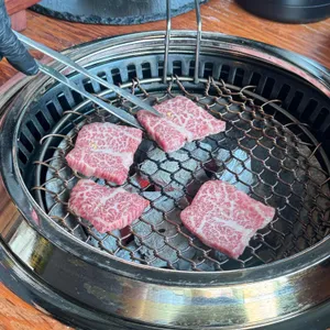 일편등심 사진