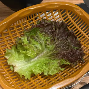진원소우 대표 사진