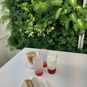솔티라이엇 리뷰 사진
