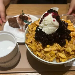 사시사계 사진