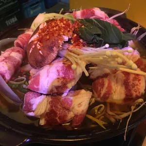오사카고양이 사진
