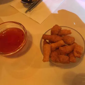 오사카고양이 대표 사진