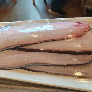 장어의꿈 사진 1