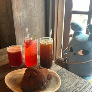도토리 대표 사진