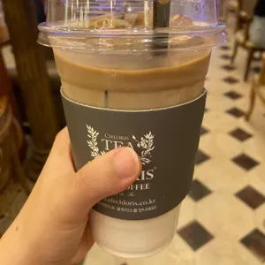 클로리스 티룸 사진 2