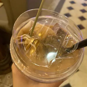 클로리스 티룸 사진