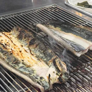 대청장어가 사진
