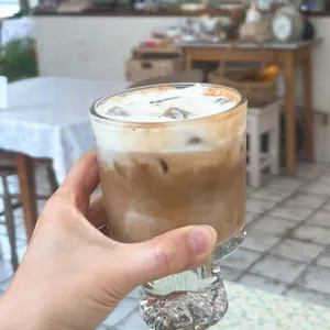 제피렐리 사진