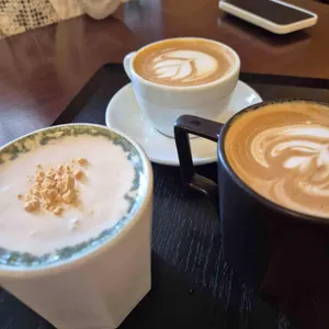 피그먼츠 사진