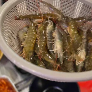 해물308 리뷰 사진