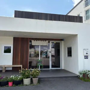 모리 사진 2