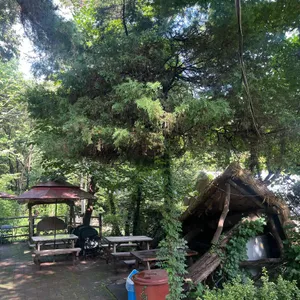 황금정원 리뷰 사진